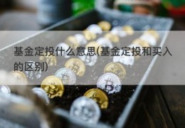 基金定投什么意思(基金定投和买入的区别)