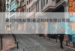 豪迈科技股票(豪迈科技有限公司简介)